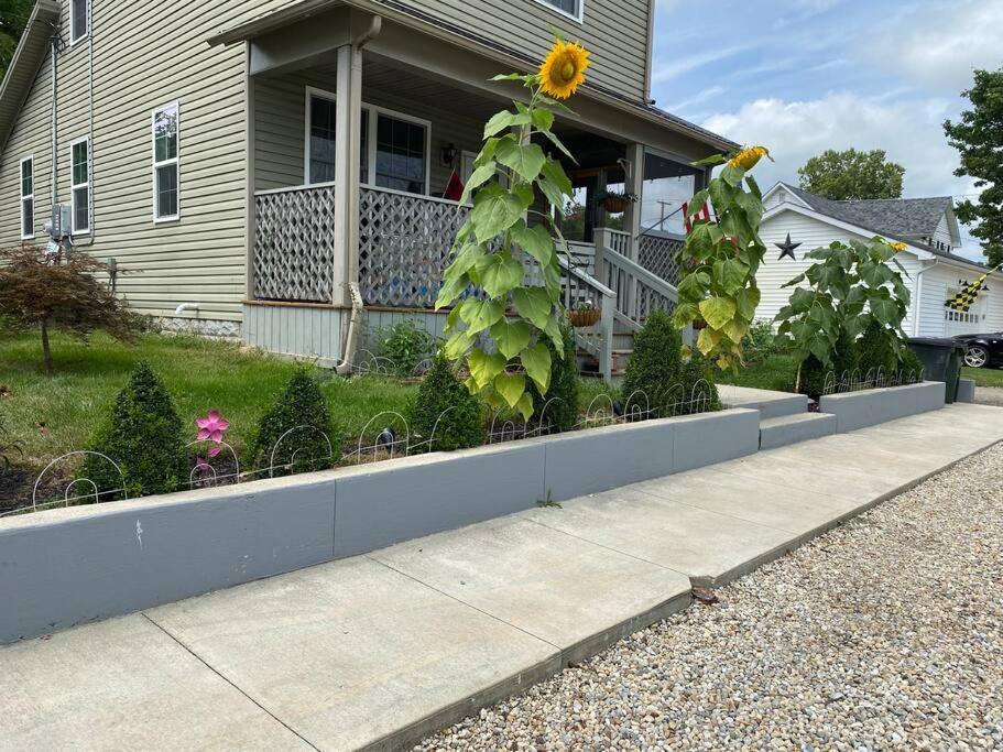 Solar Roof, Eco-Friendly Home Baltimore Exterior foto